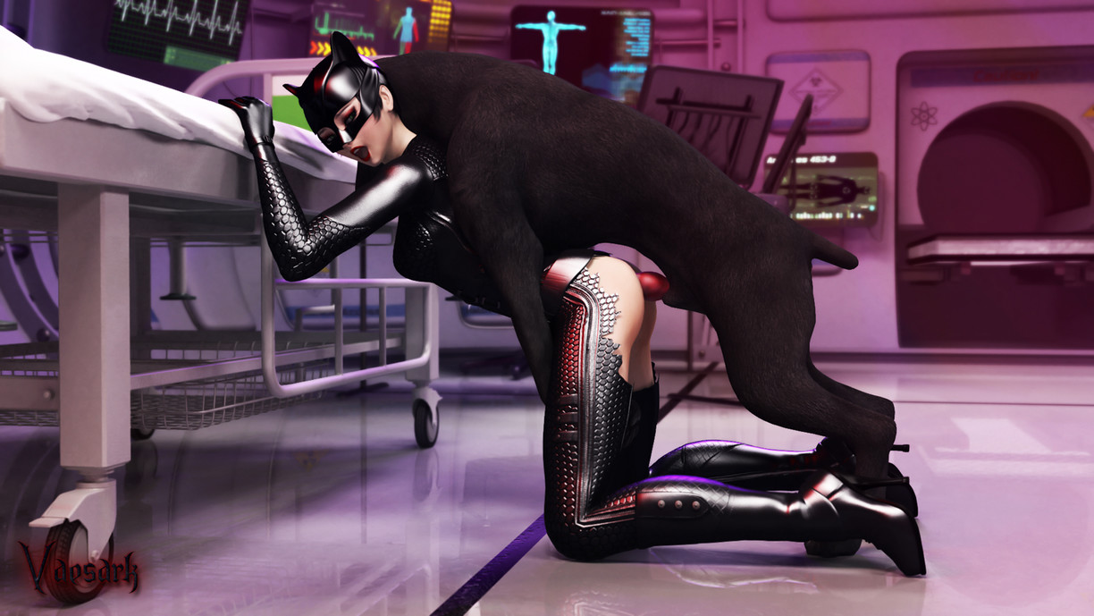 Catwoman Hentai image #244398