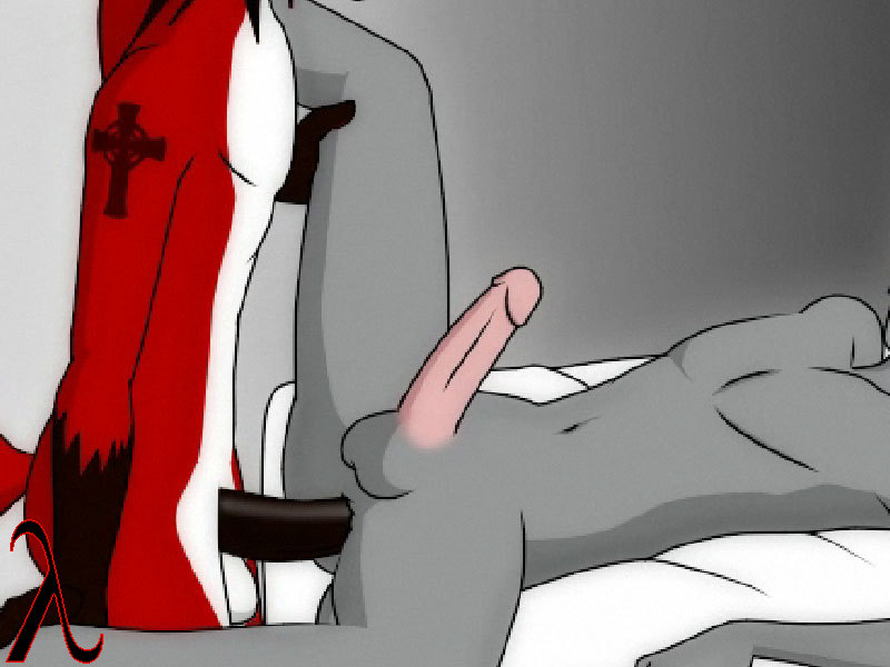 Furry Hentai Animated Image 203738