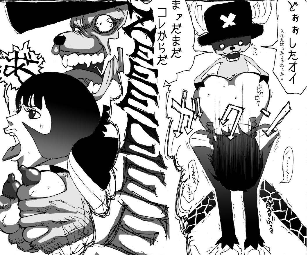 One piece shakki
