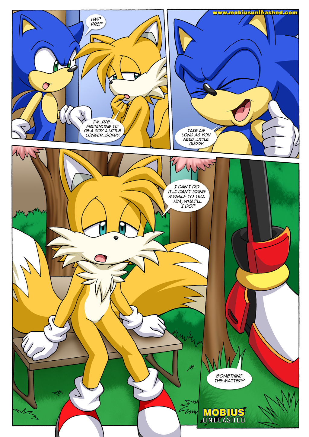 Sonic And Tails Hentai Image