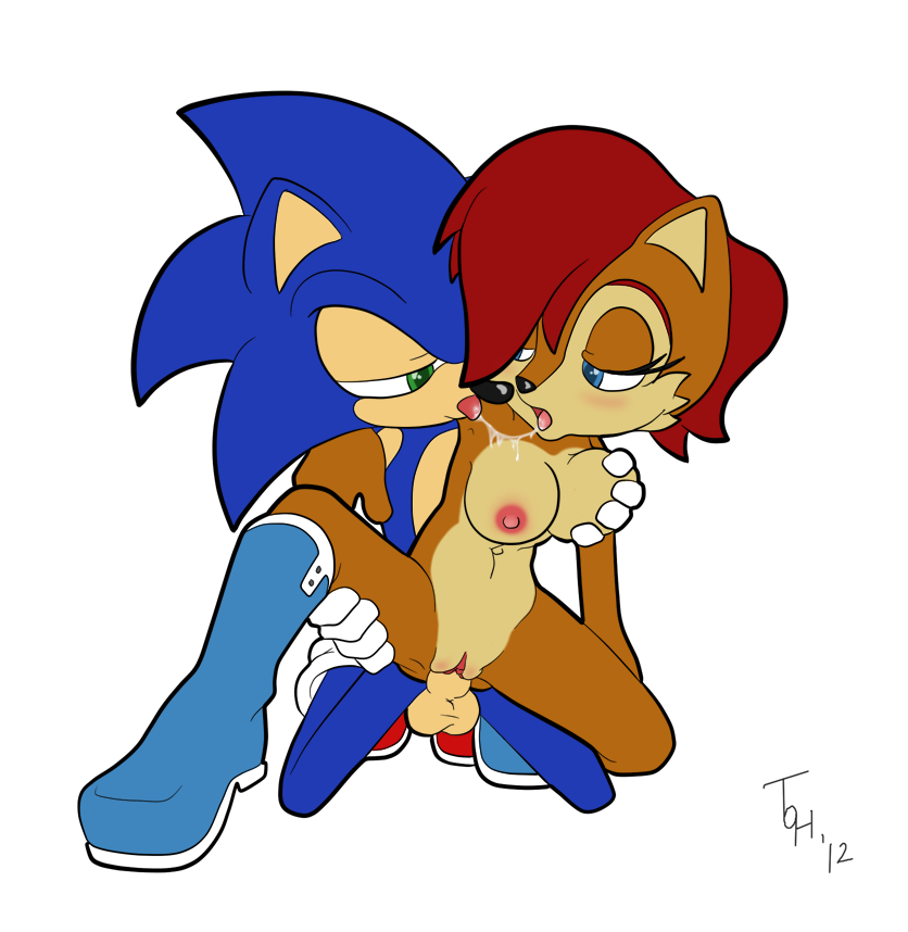 Sonic Sally Hentai Image