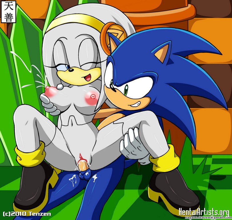 Sonic X Rouge Hentai image #253804