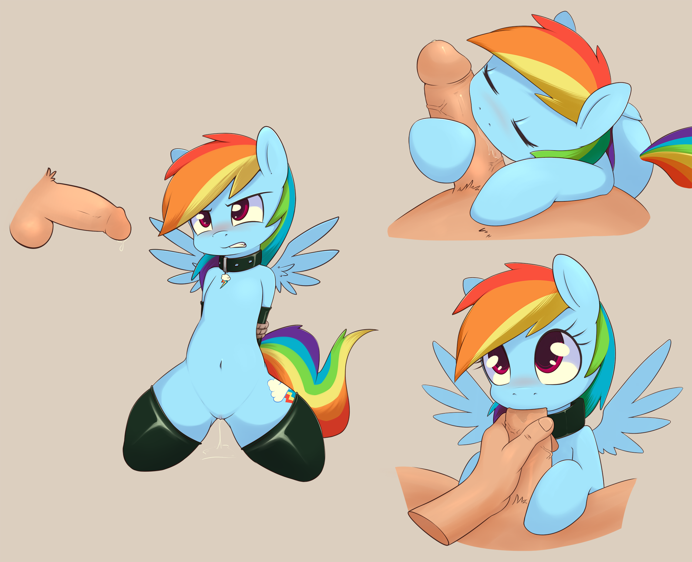 My Little Pony Porn Rainbow Dash