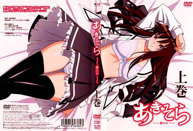 aki-sora: yume no naka hentai 