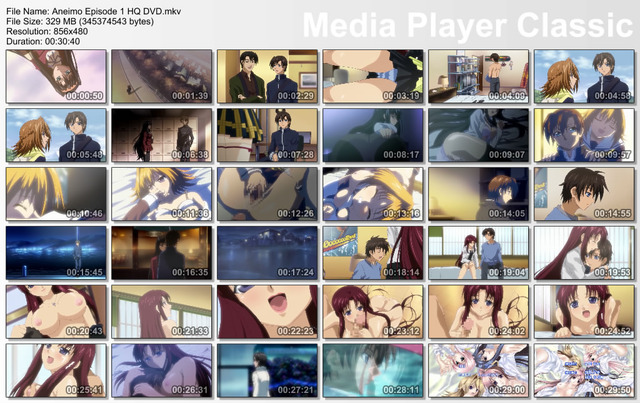 aneimo hentai mkv episode dvd aneimo