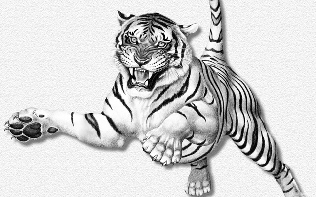 el hentai original wallpapers media papel tigre blanco pintado