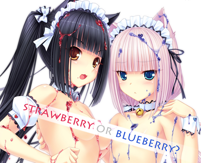 el hentai sisters ecchi blueberry rashbarry nekomimi sayori mangaka