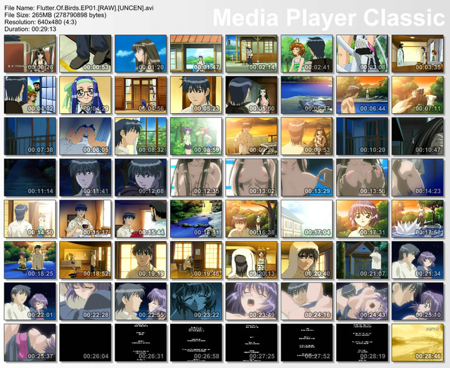 flutter of birds 2 hentai hentai cartoons collection screenshots xxx flutter birds daily update best videos animated multilinks