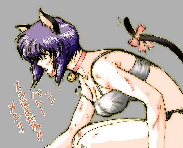 ghost in the shell hentai porn tail hair nipples ghost eyes collar cuts shell alone cat red animal ears complex motoko kusanagi panties purple erect bell bow cyborg hentaiblog stand crouch