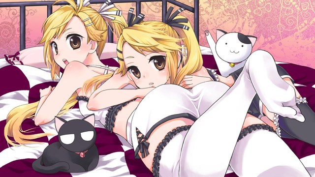 houkago nyan nyan hentai wallpaper data nyankoi