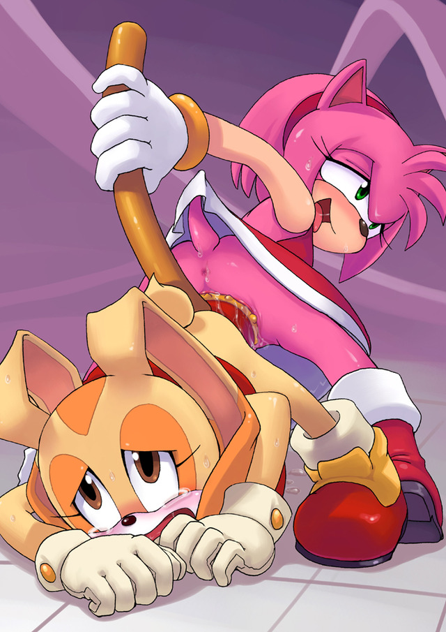 amy and sonic hentai hentai amy sonic team cream rose rabbit sega