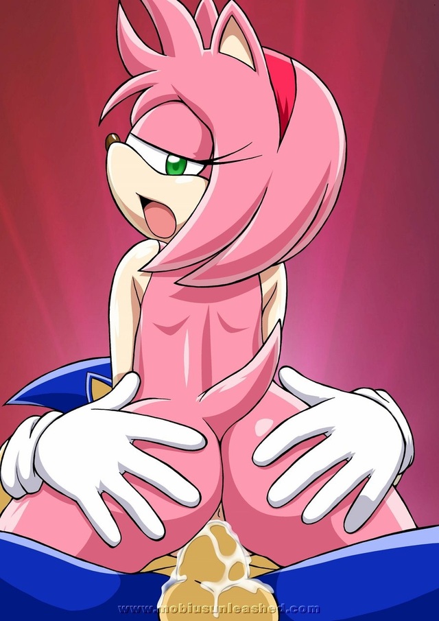 amy and sonic hentai entry rule
