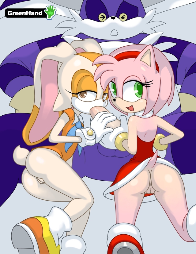 amy rose e hentai amy sonic team cat cream rose rabbit ccd greenhand