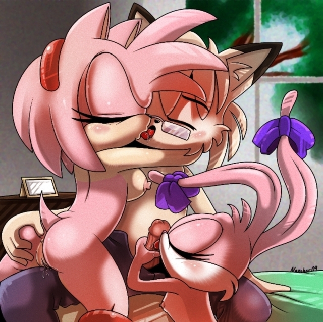 amy rose e hentai toon amy tiny crossover bunny sonic team adventures rose nancher babs