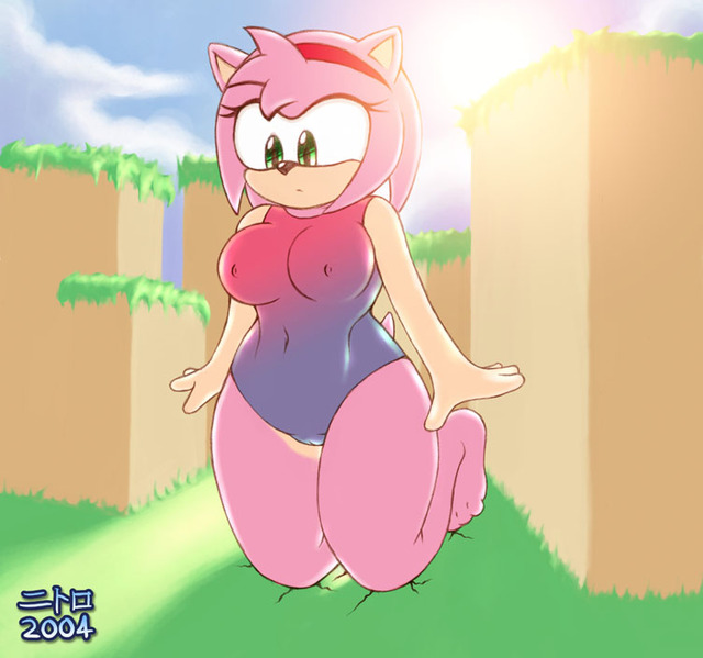 amy rose hentai gif hentai amy sonic swimsuit rose fat yiffy sonichentai