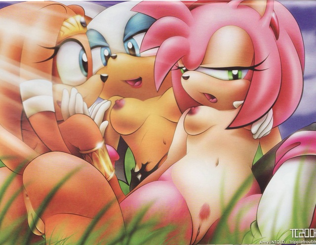 amy rose sonic hentai amy sonic team rose echidna rouge bat tikal