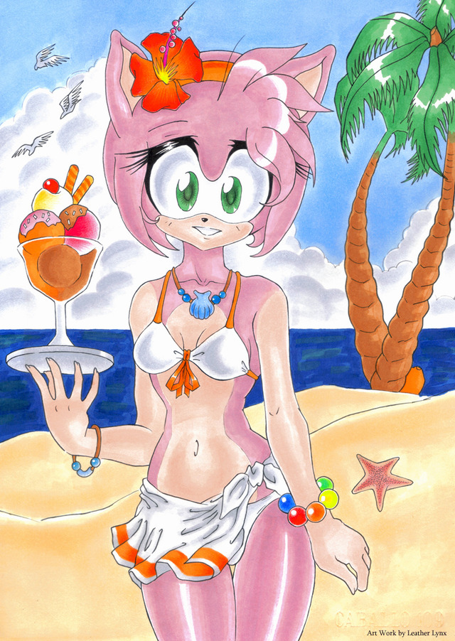 amy rose sonic hentai love art amy beach rose tropical leather running lynx