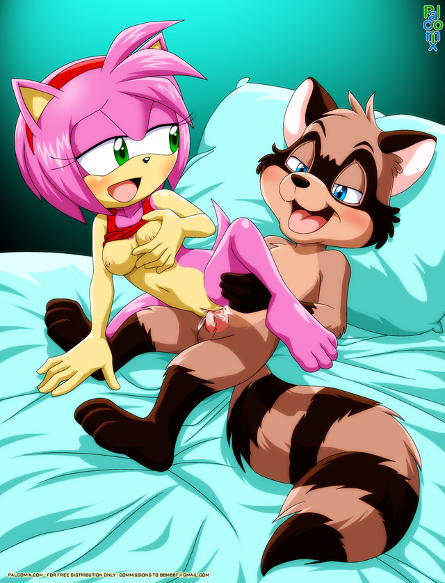 amy rose sonic hentai pictures album amy sonic team rose son palcomix furries