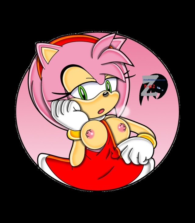 amy rose sonic hentai pictures user amy palcomix zetar