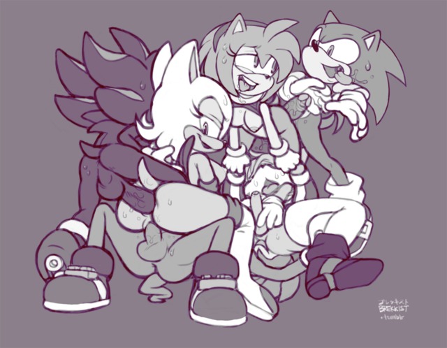 amy rose the hedgehog hentai artist amy sonic team shadow rose hedgehog tails rouge bat bigtyme brekkist