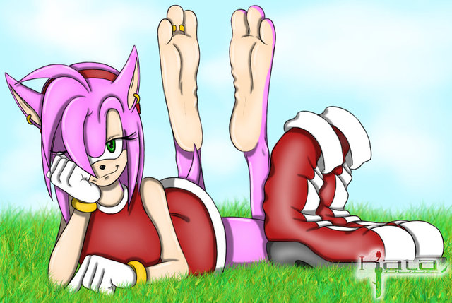 amy rose the hedgehog hentai art amy rose soles katadude xgmdl stocker