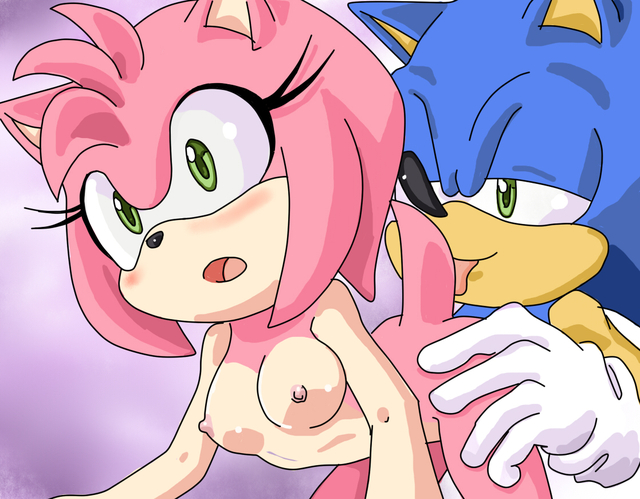 amy rose the hedgehog hentai amy dfc sonic team fce rose hedgehog randomguy