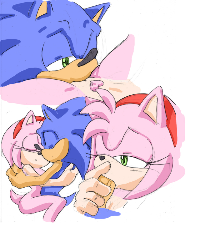 amy rose the hedgehog hentai amy sonic team rose cfc hedgehog nancher dcba randomguy