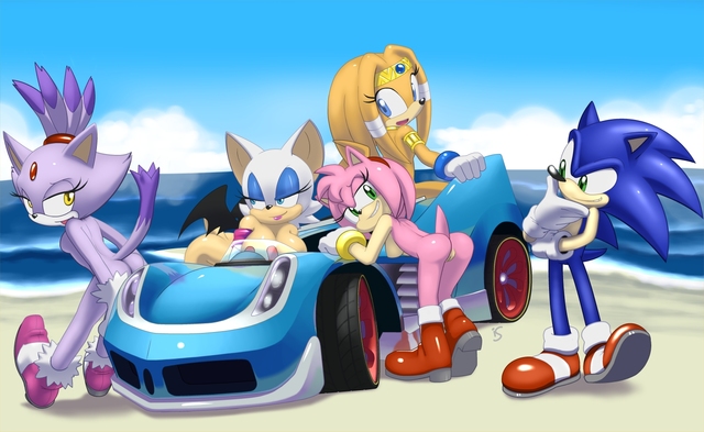 amy rose the hedgehog hentai amy sonic team cat rose hedgehog blaze echidna rouge bat tikal