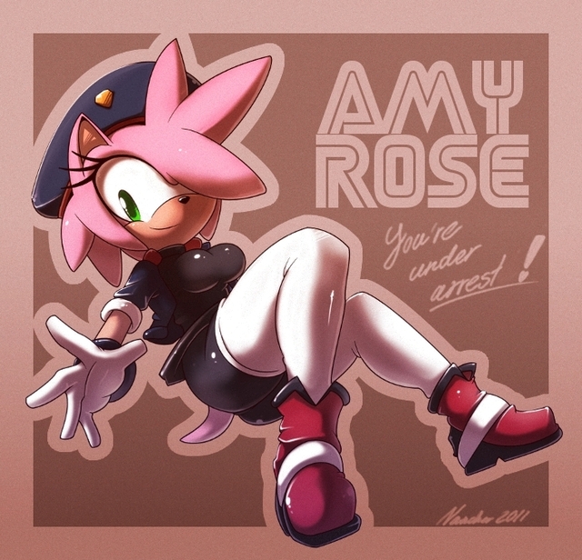amy rose the hedgehog hentai art amy rose police nancher