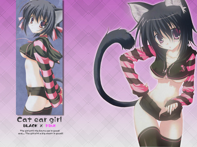 animal ears hentai hentai gallery imglink cat ears ebbfdb