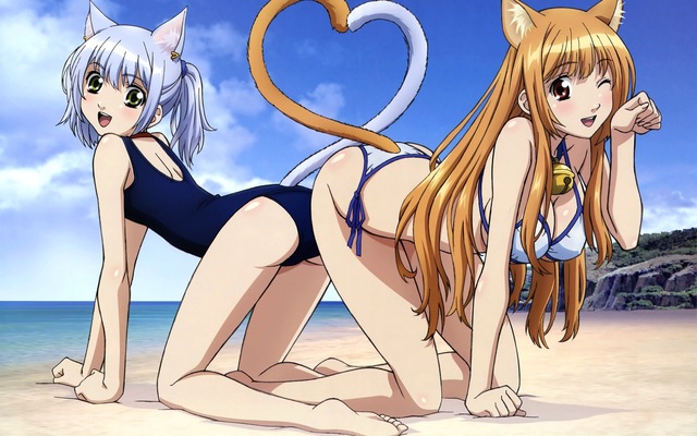 animal ears hentai tail category manga cleavage beach eris bikini animal ears swimsuit wink konachan barefoot chaika asobi iku