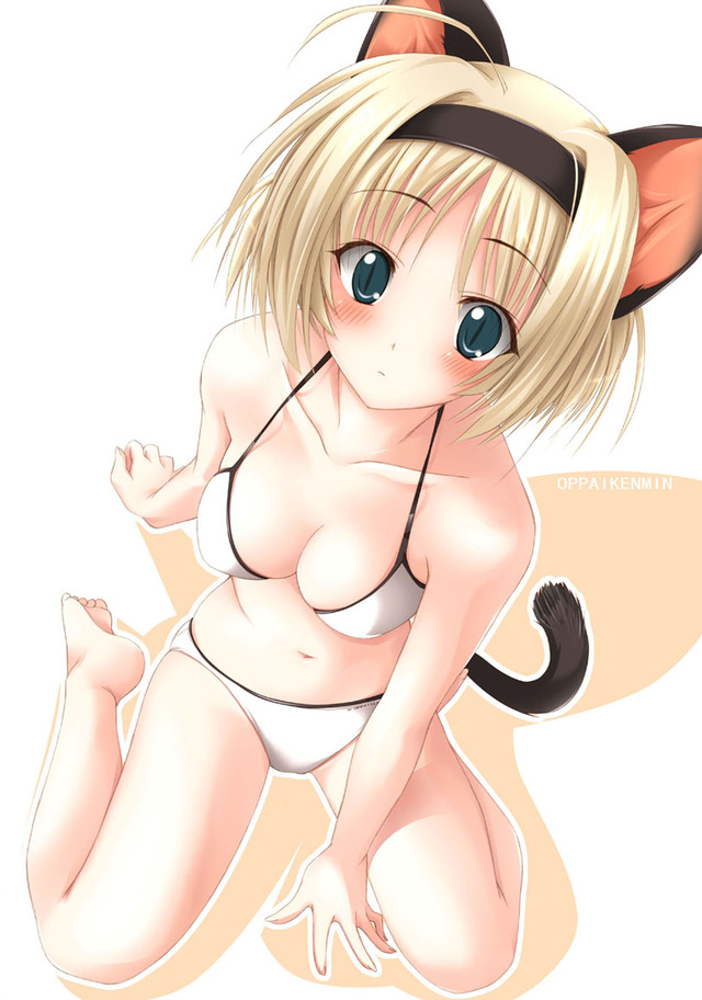 anime girls hentai photos anime hentai girl girls cat catgirlhentai