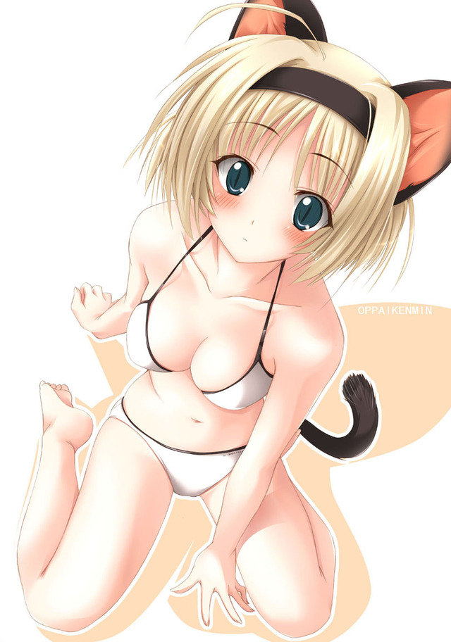anime girls hentai photos anime hentai girl girls cat catgirlhentai