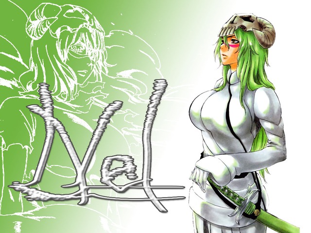 bleach hentai espada hentai wallpaper bleach espada nelliel odelschwanck