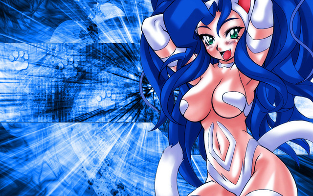 blue hair hentai anime hentai hair wallpaper blue animal ears nekomimi darkstalkers