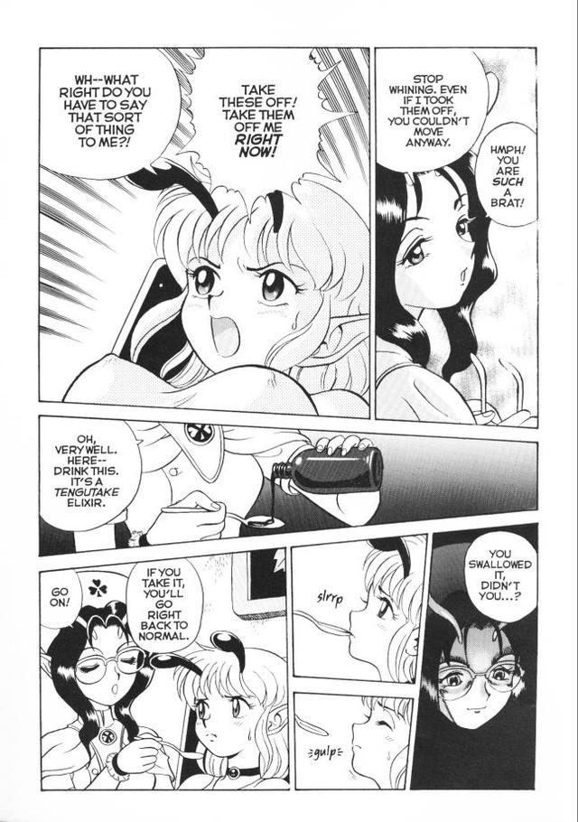 bondage fairies hentai vol manga