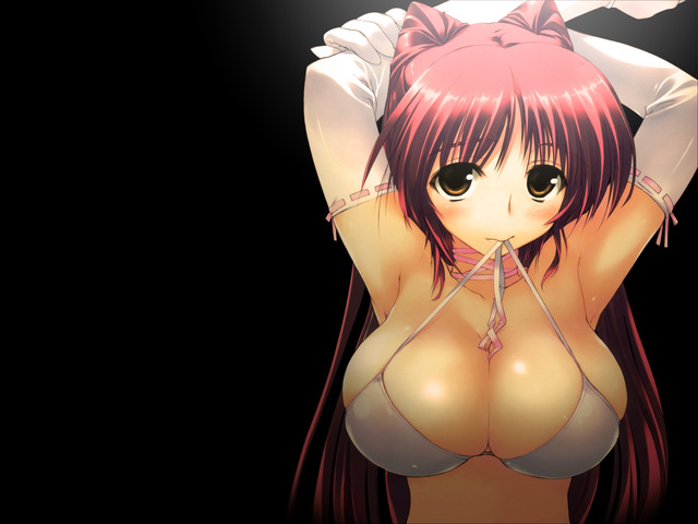 boobs hentai pics anime hentai boobs busty wallpaper tits