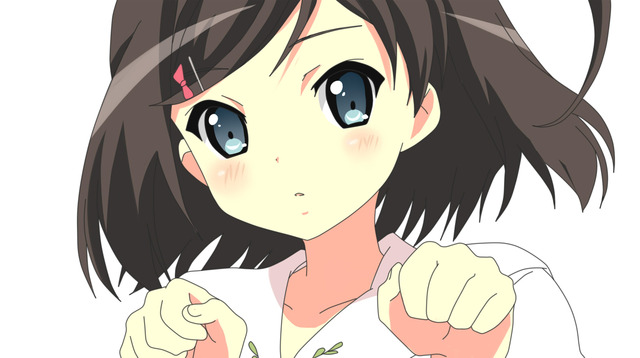 brown hair hentai hentai seifuku hair blush ouji warawanai neko blue eyes brown show tsutsukakushi tsukiko konachan short close vector menbou