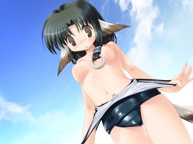 cyber team in akihabara hentai category page chan ask onii utawarefull