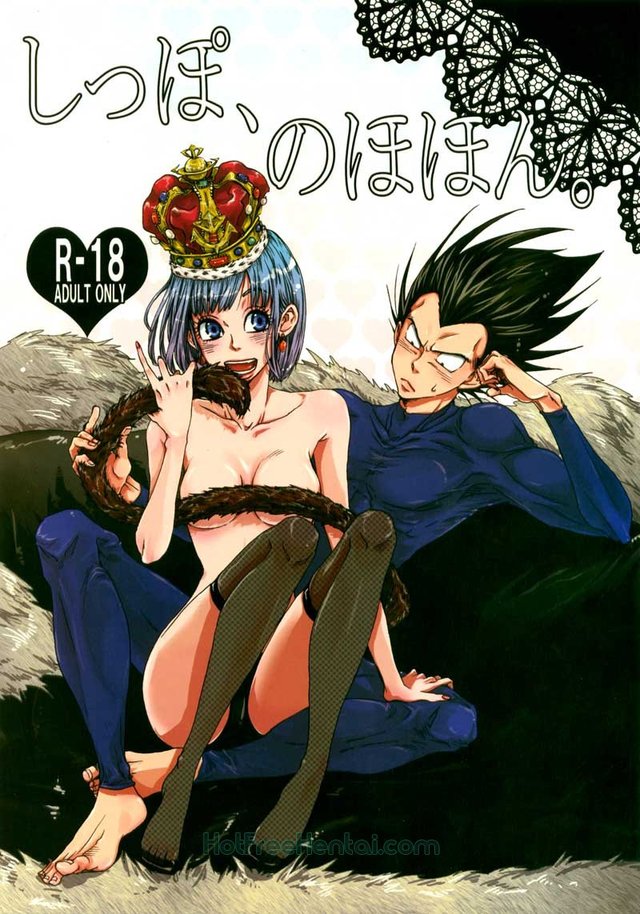 dragonball series hentai tail gallery book cover dragon ball dragonball