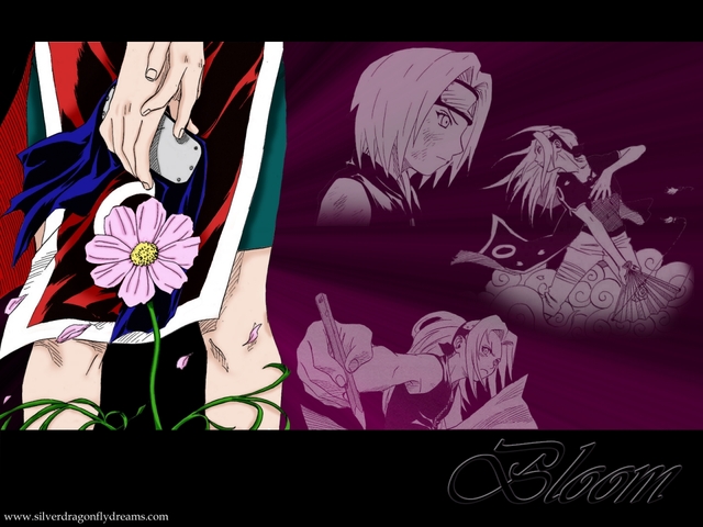 naruto & sakura hentai hentai naruto wallpaper wallpapers flower sakura