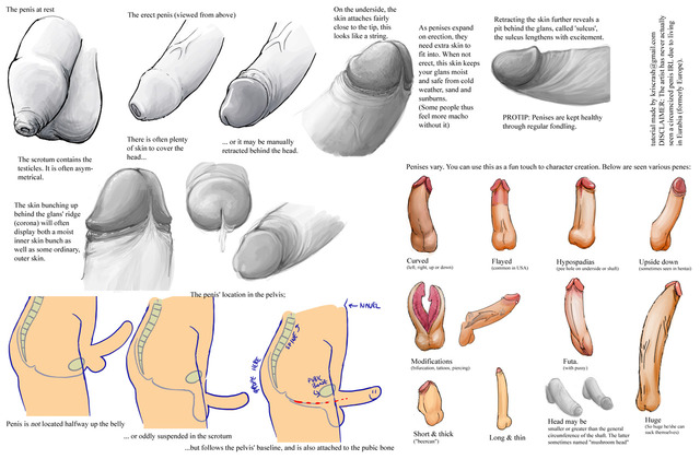 penis hentai all page pictures penis user tutorial kriscrash