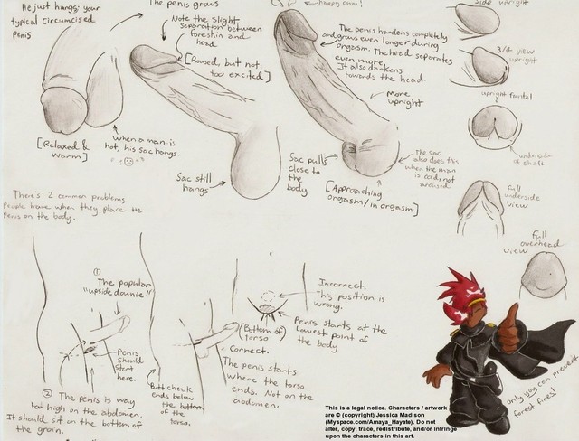 penis hentai all page pictures penis user how draw amayahayate
