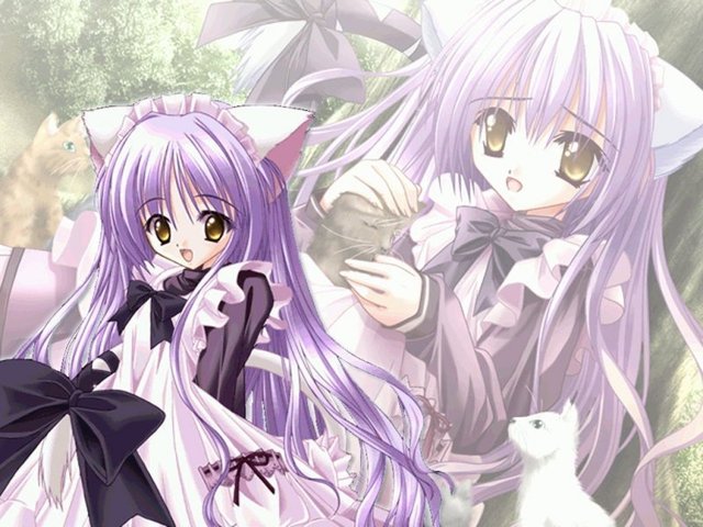 purple hair hentai anime ecchi girl wallpaper wallpapers