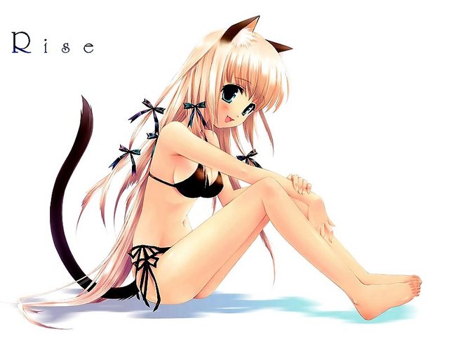 ribbon hentai tail blonde original hair blue eyes cat bikini animal ears swimsuit catgirl sitting ribbon touto seiro