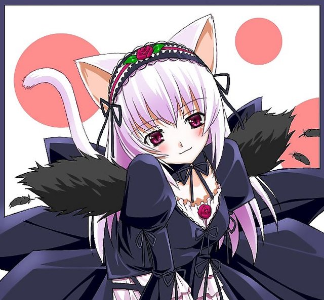rozen maiden hentai black cat animal ears wings