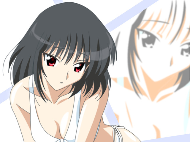 school rumble hentai anime school wallpaper rumble yakumo tsukamoto