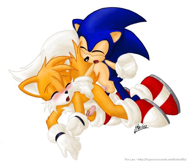 sonic the hedgehog hentai sonic team fox hedgehog tails lee fbdbc