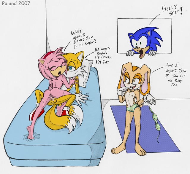 sonic the hedgehog  hentai dev