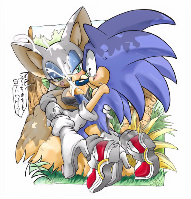 sonic the hedgehog  hentai sonic team entry hedgehog rouge bat erosuke